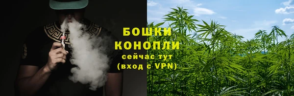 амф Надым