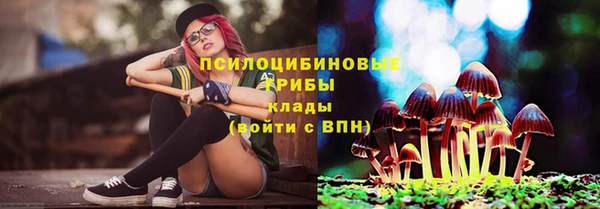 гидра Наволоки