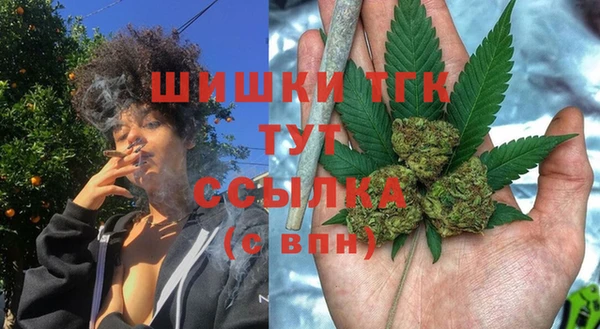 гидра Наволоки