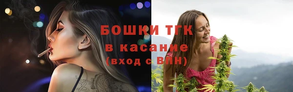 гидра Наволоки
